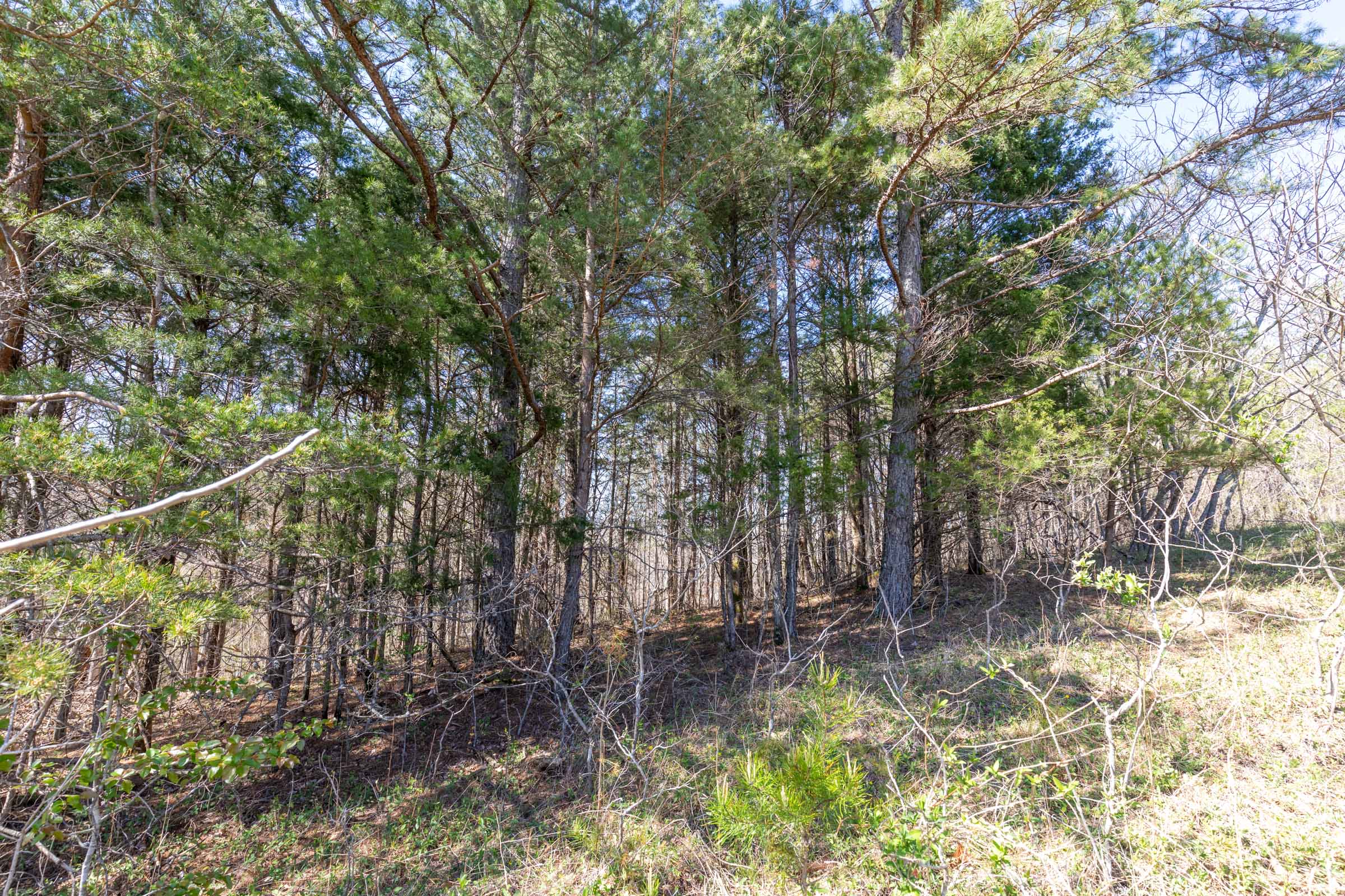 Tract 16 at Woodland Heights in Wayne County, Kentucky