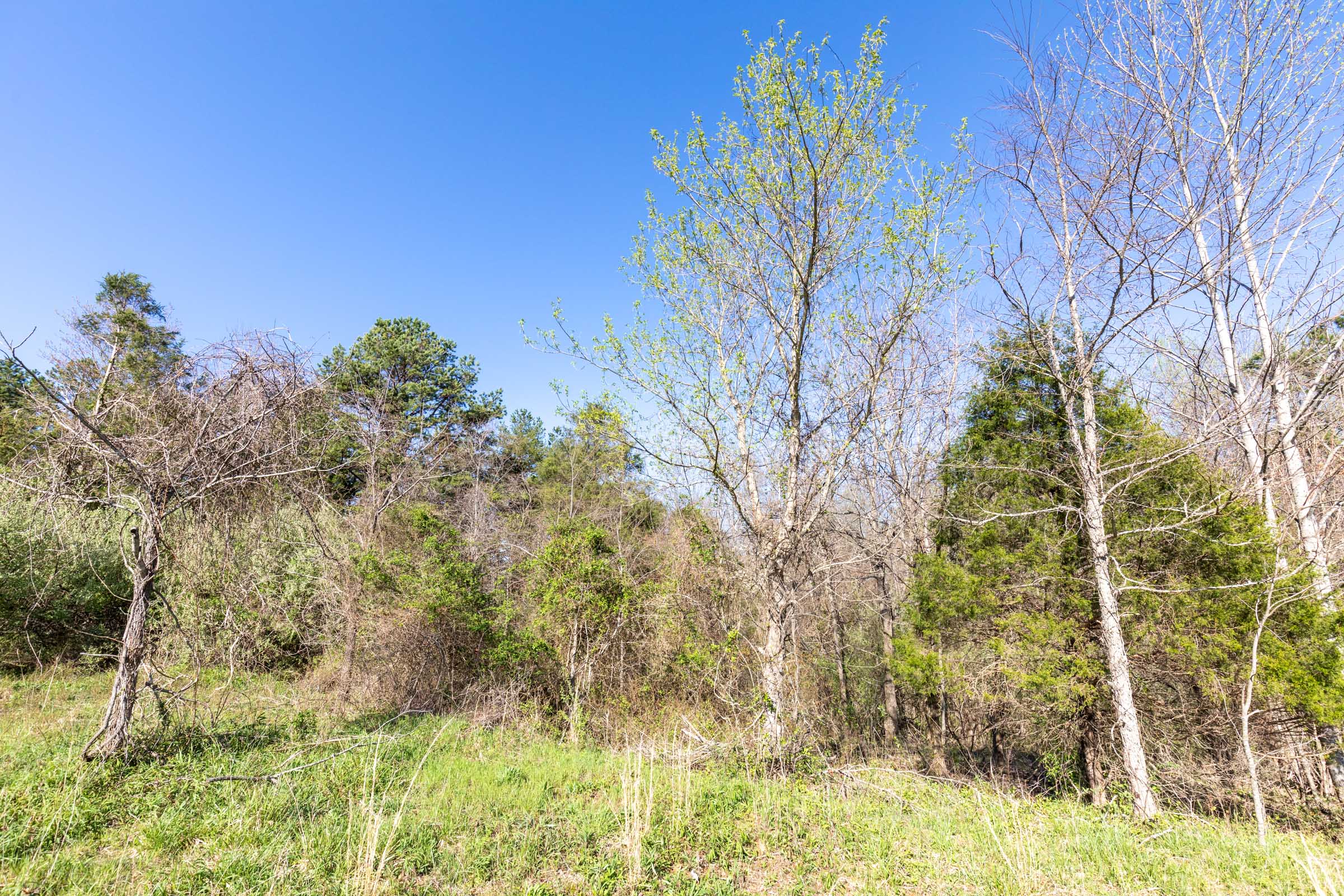 Tract 17 at Woodland Heights in Wayne County, Kentucky