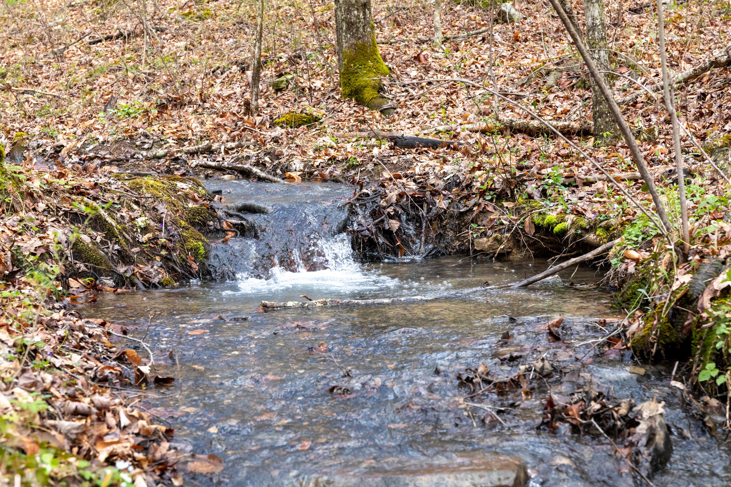 Tract 18 at Woodland Heights in Wayne County, Kentucky