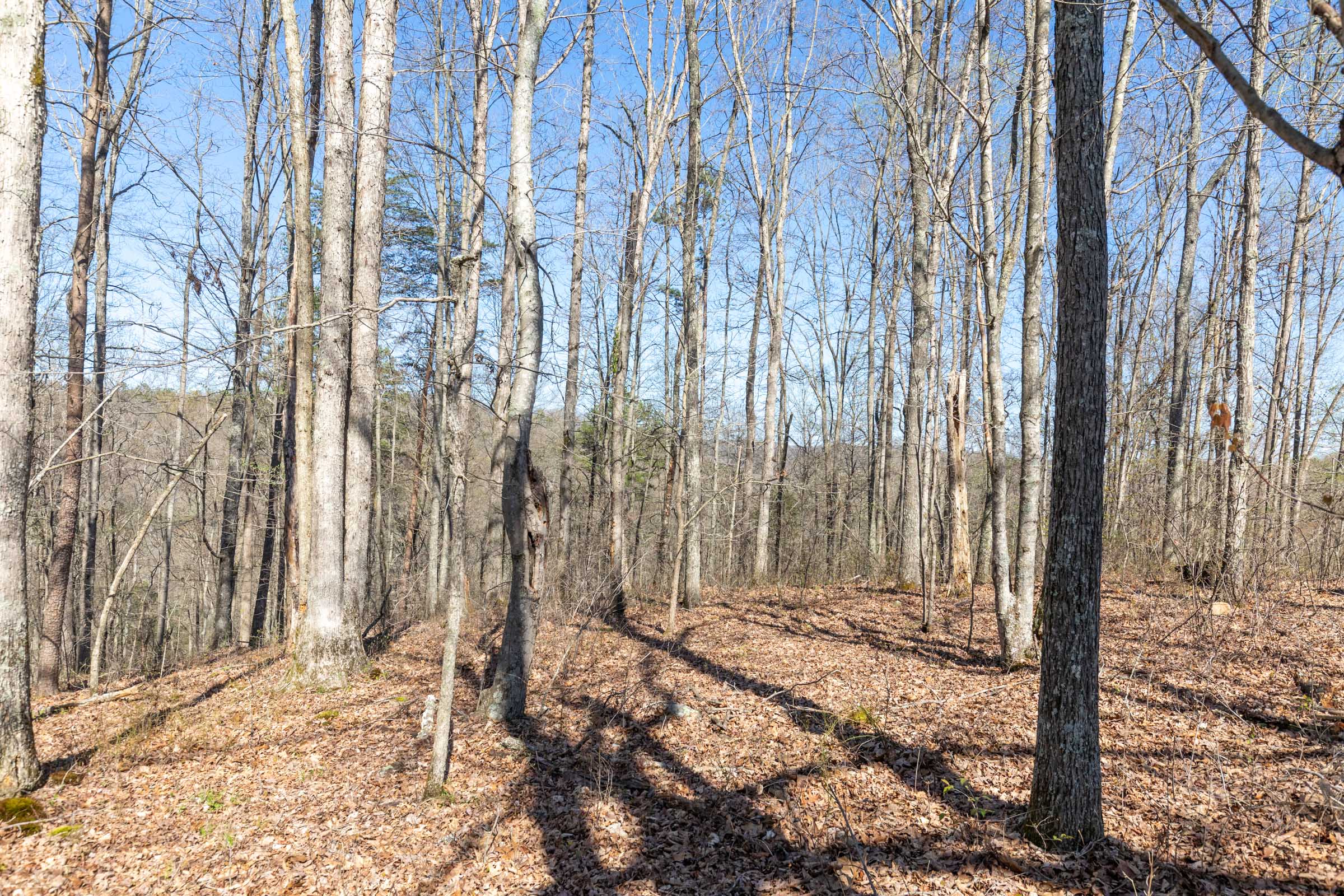 Tract 3 at Woodland Heights in Wayne County, Kentucky