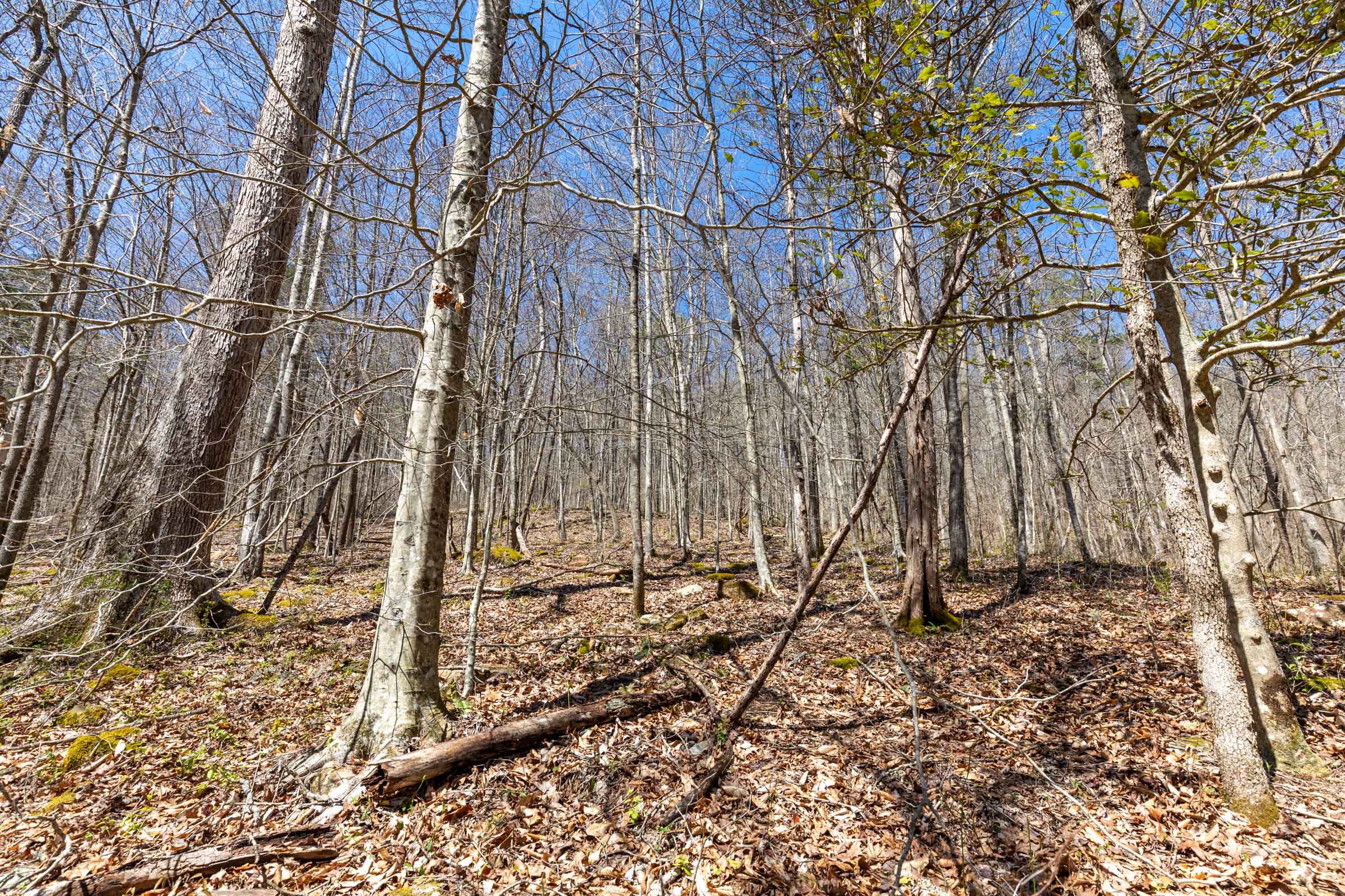 Tract 4 at Woodland Heights in Wayne County, Kentucky