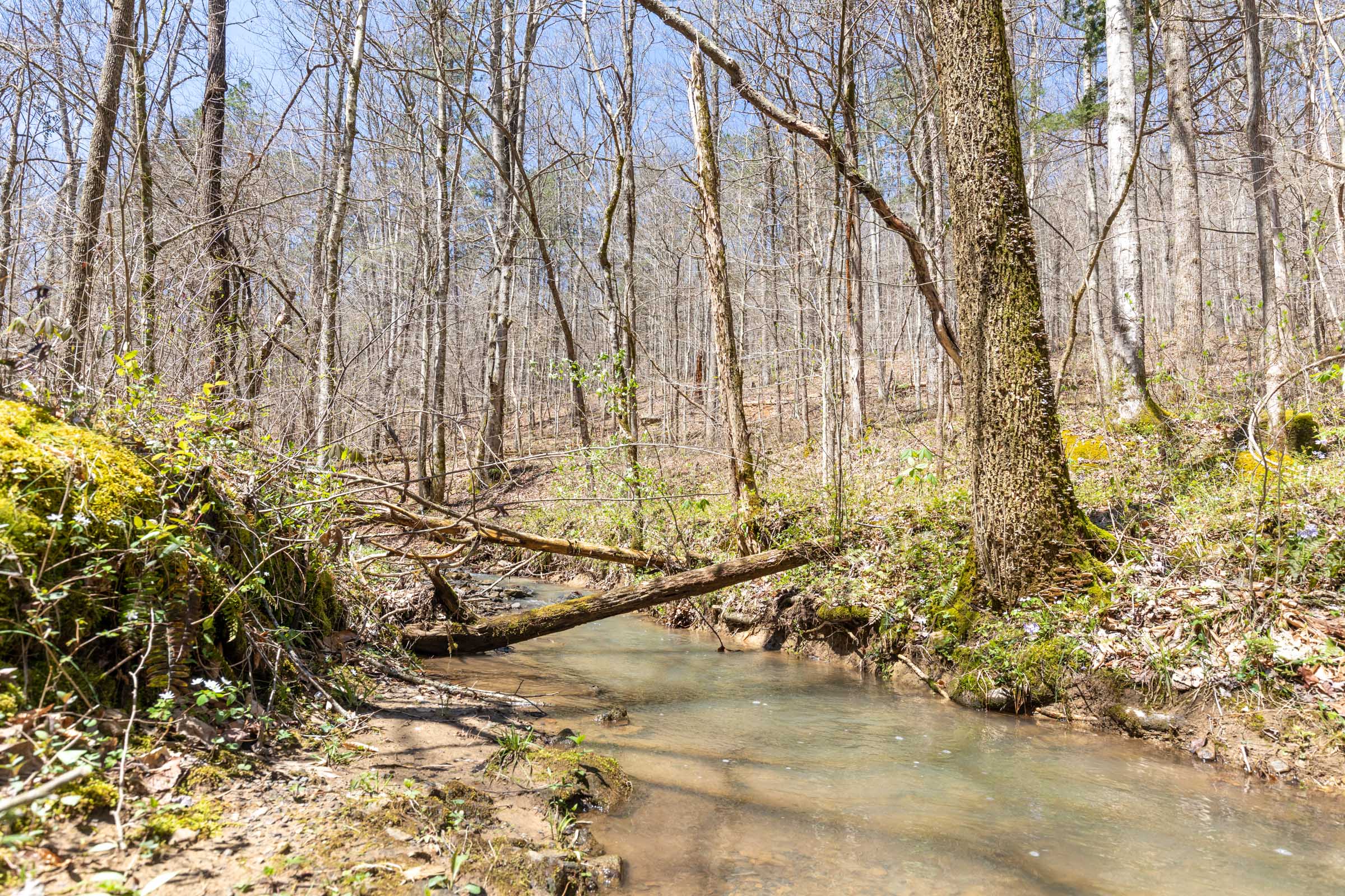 Tract 5 at Woodland Heights in Wayne County, Kentucky