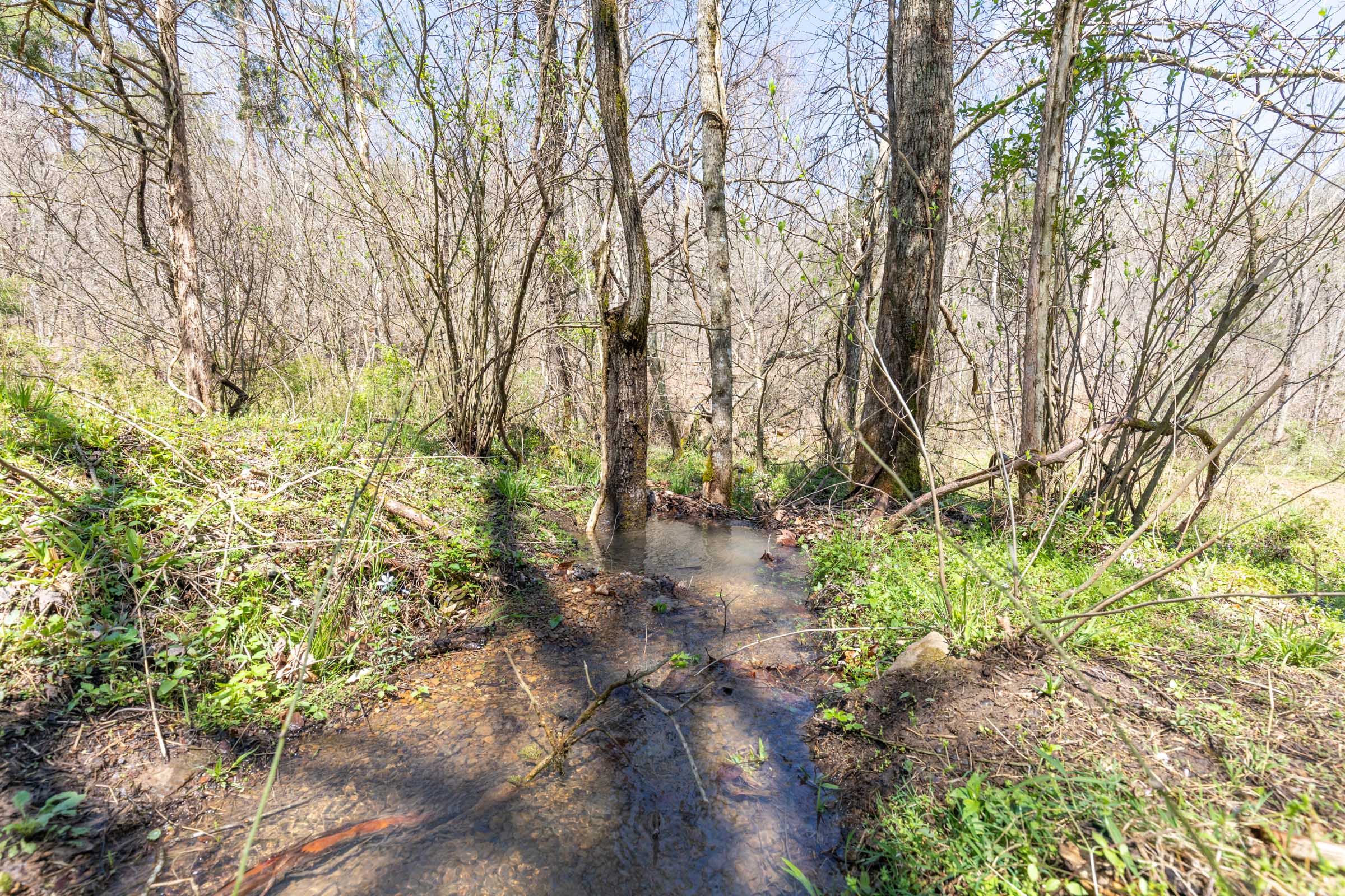 Tract 7 at Woodland Heights in Wayne County, Kentucky