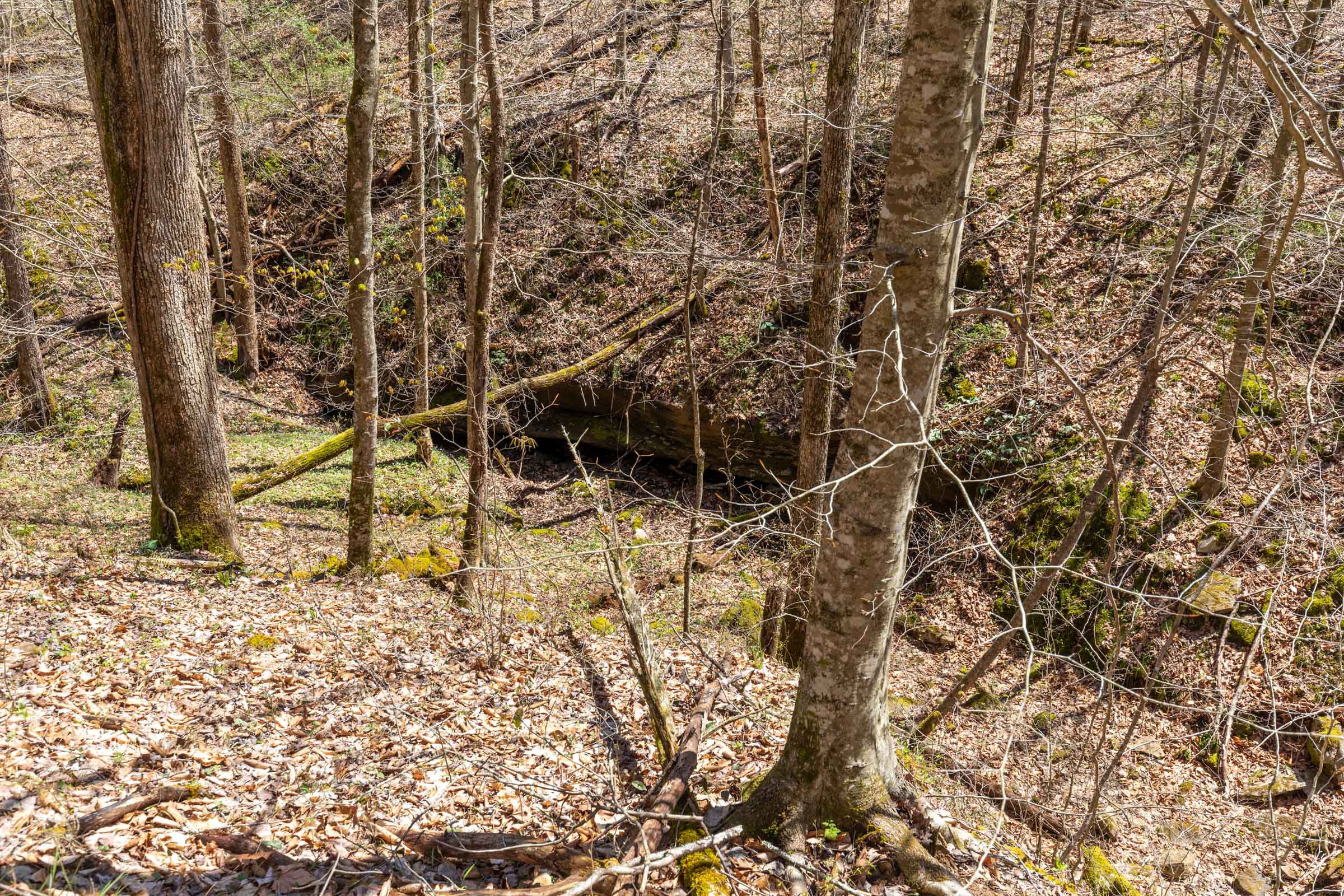 Tract 9 at Woodland Heights in Wayne County, Kentucky